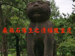-沈阳市东陵公园