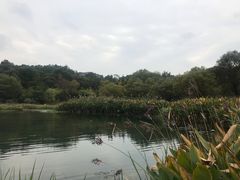 -西院1号(龙井店)