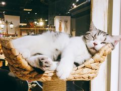 -小时光咖啡馆(开森度假森林店)