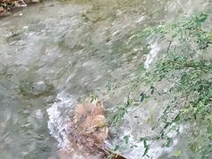 -陶祖圣境风景区