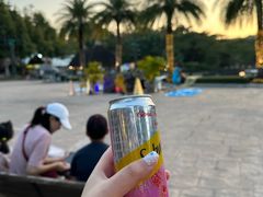-清迈夜间动物园