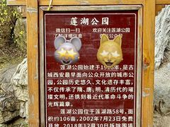 -莲湖公园