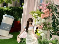 -汕头龙光喜来登酒店