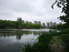-新江湾城公园