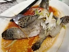 清蒸桂鱼-六婶西关小厨(光塔路店)