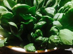 -辉哥火锅(虹桥路店)