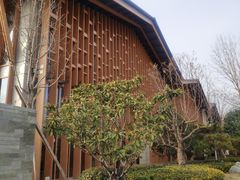 -思念果岭悦温泉