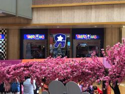 -玩具反斗城(正大广场店)