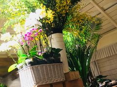 -春暖花开(西溪店)