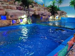 -华夏文旅海洋公园