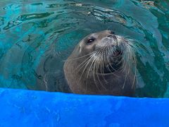 -大连老虎滩海洋公园