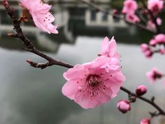 -苏州环秀晓筑养生度假村