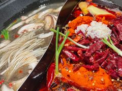 -朱光玉火锅馆(正弘城店)