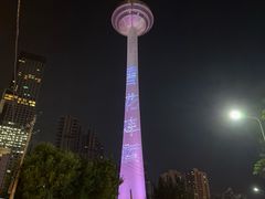 -辽宁电视塔
