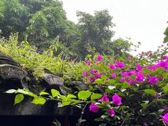 -磁器口古镇