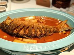 红烧黄河鲤鱼-阿五黄河大鲤鱼(英协路店)