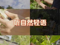 -黑龙潭风景区
