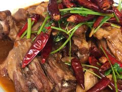 -食家鸽园