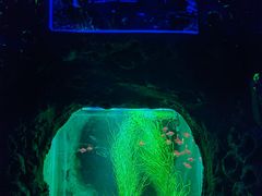 -白鹿仓冰雪海洋世界