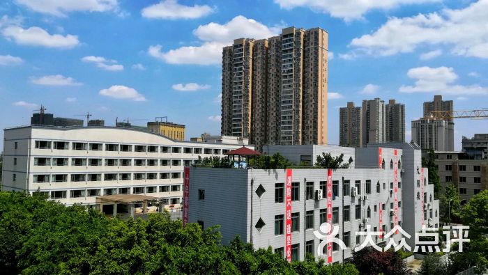 第二十中学校(茶店子校区)图片 - 第54张