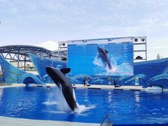 -上海海昌海洋公园