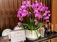 -上海嘉定喜来登酒店