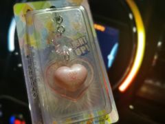 -枫花园汽车电影院(朝阳公园店)