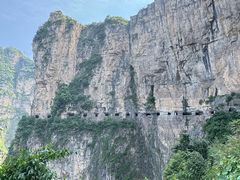 -王莽岭风景区