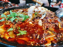 -鸿顺老铁锅美蛙鱼府(解放碑店)