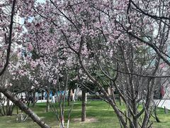-西宁市人民公园(城西区)