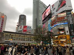 -涩谷区