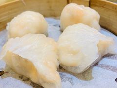 晶莹鲜虾饺-添好运点心专门店(北角店)