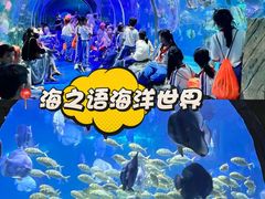 -观澜湖新城运动奥莱区