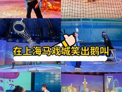 -上海马戏城