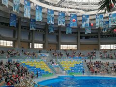 -海合安成都极地海洋公园