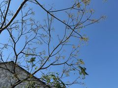 -东钱湖旅游度假区