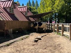 -神户市立六甲山牧场