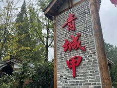 -青城甲(青城山店)