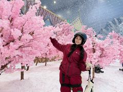 -广州热雪奇迹