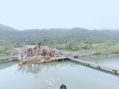 -杨梅坑