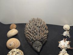 -洛阳龙门海洋馆