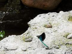 -野三坡清泉山风景区