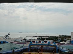 -海合安青岛极地海洋公园