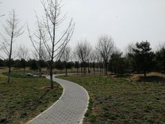 -东郊湿地公园