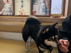 -柴の食堂·日式家庭料理·熊之肆(大学路店)