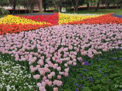 -上海鲜花港