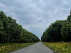 -尚贤河湿地