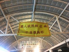 -金东尼人妖秀