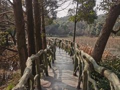 -东湖落雁景区