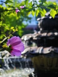 -西安索菲特人民大厦酒店·宴会厅